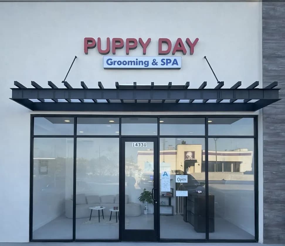 The Puppy Day salon lobby — a clean, modern waiting area with comfortable seating, plants, and the Puppy Day logo